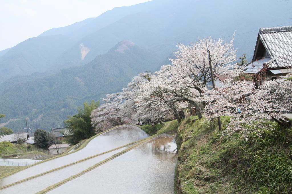Miyako City Tsu Exterior foto
